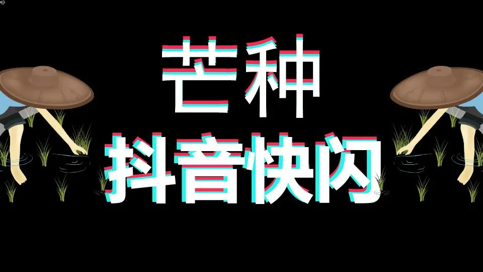 芒種 快閃抖音模板
