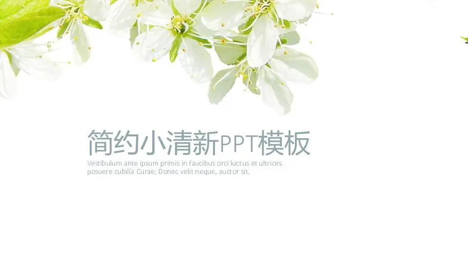 唯美清新PPT模板