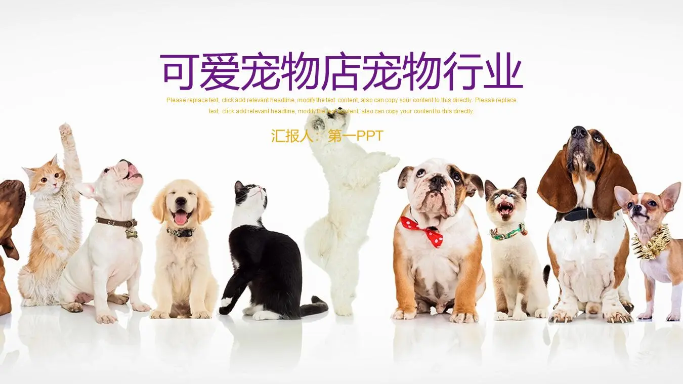 狗和貓排隊的背景寵物PPT模板