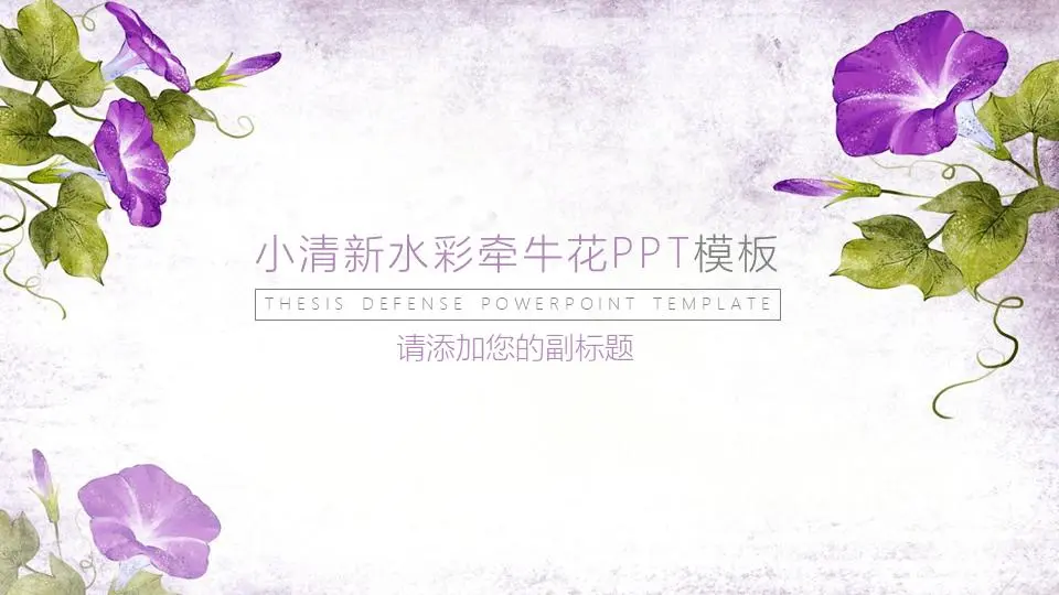 小清新的美丽牵牛花PPT模板
