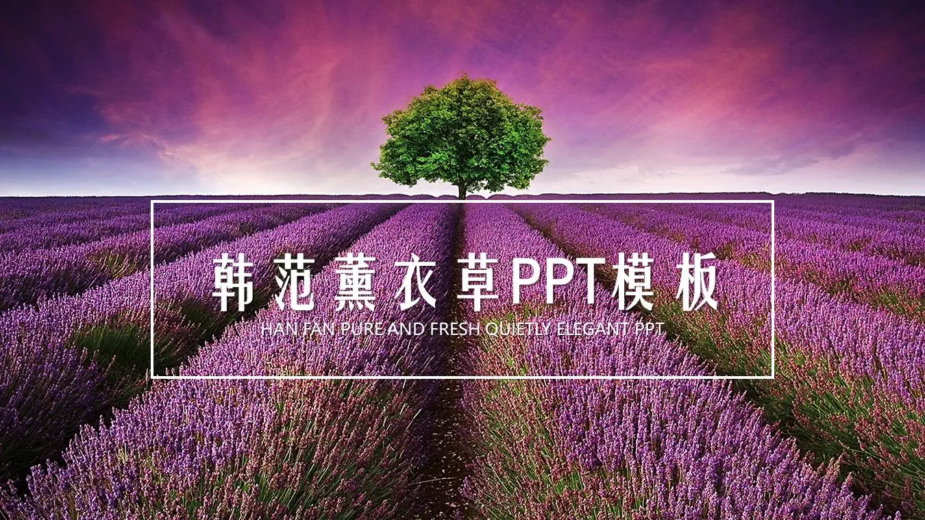 紫色薰衣草背景PPT模板