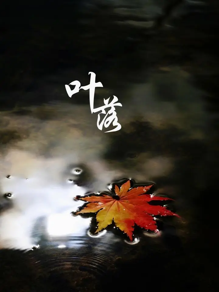 叶子秋天的幻灯片背景图片五