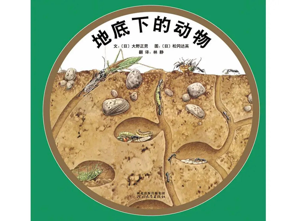 地面下的动物图片故事PPT