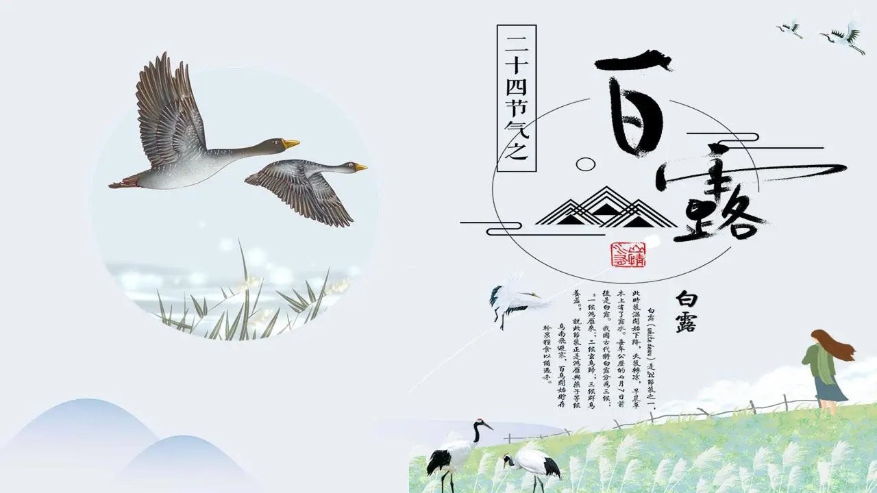 卡通白露与大雁背景白露节PPT模板