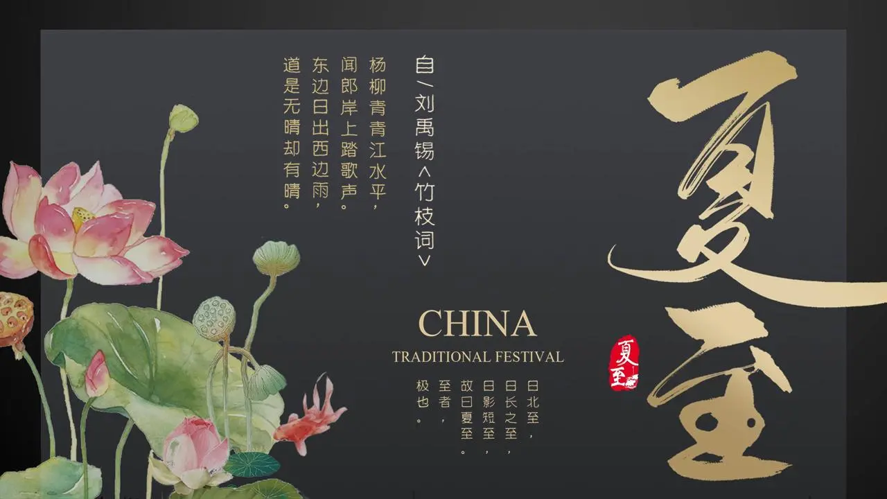 黑金风夏至节PPT模板