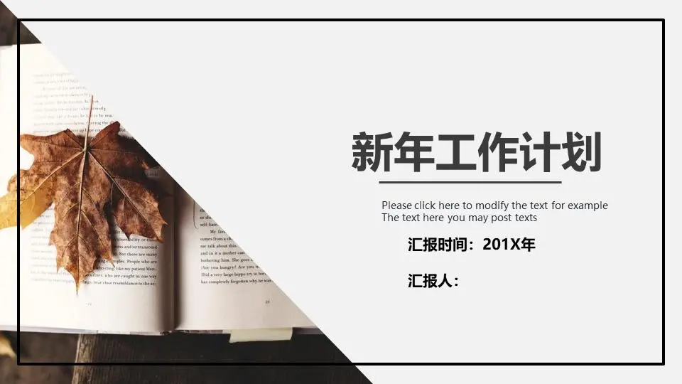 叶书背景工作计划PPT模板