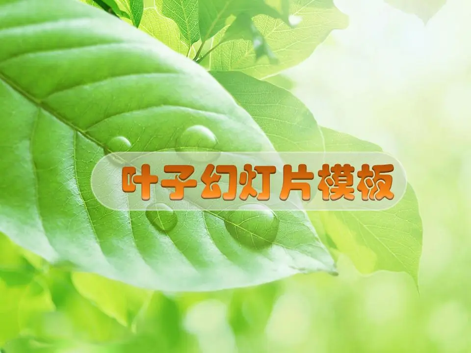 鲜叶幻灯片模板