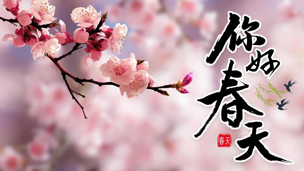 你好，春天》PPT模板，粉色桃花的背景