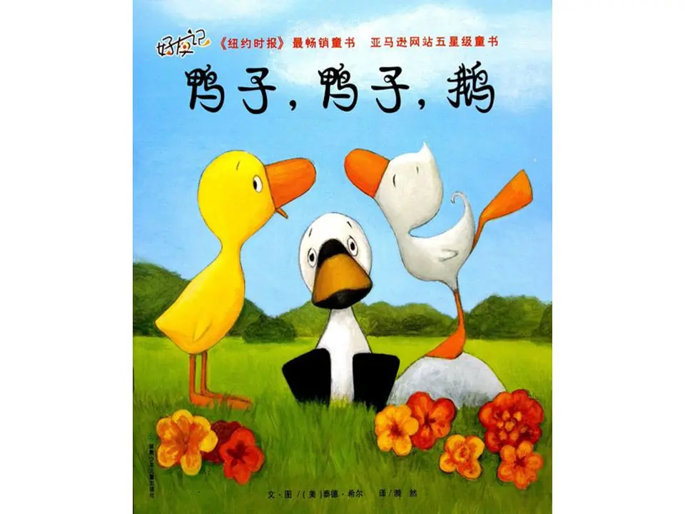 鸭子、鸭子、鹅图画书故事PPT