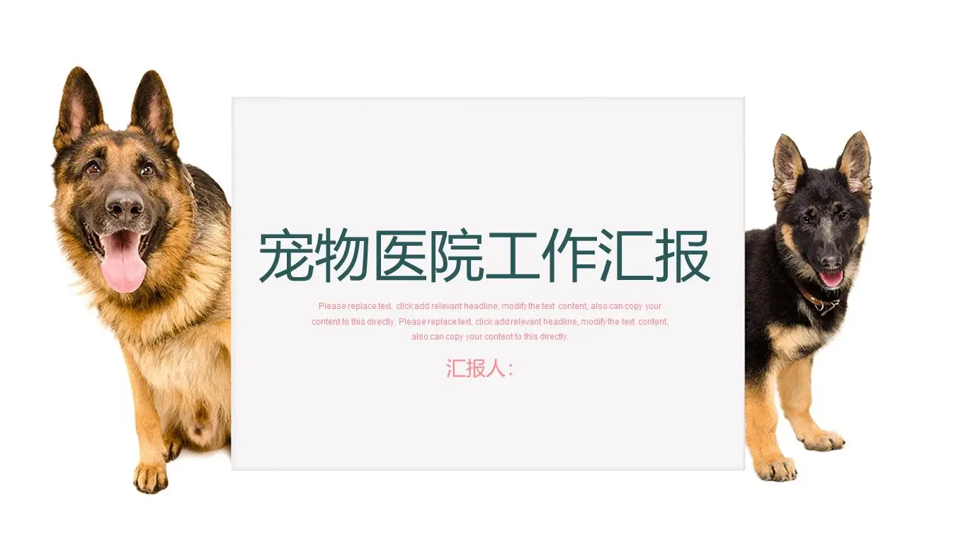以牧羊犬為背景的寵物醫院PPT模板