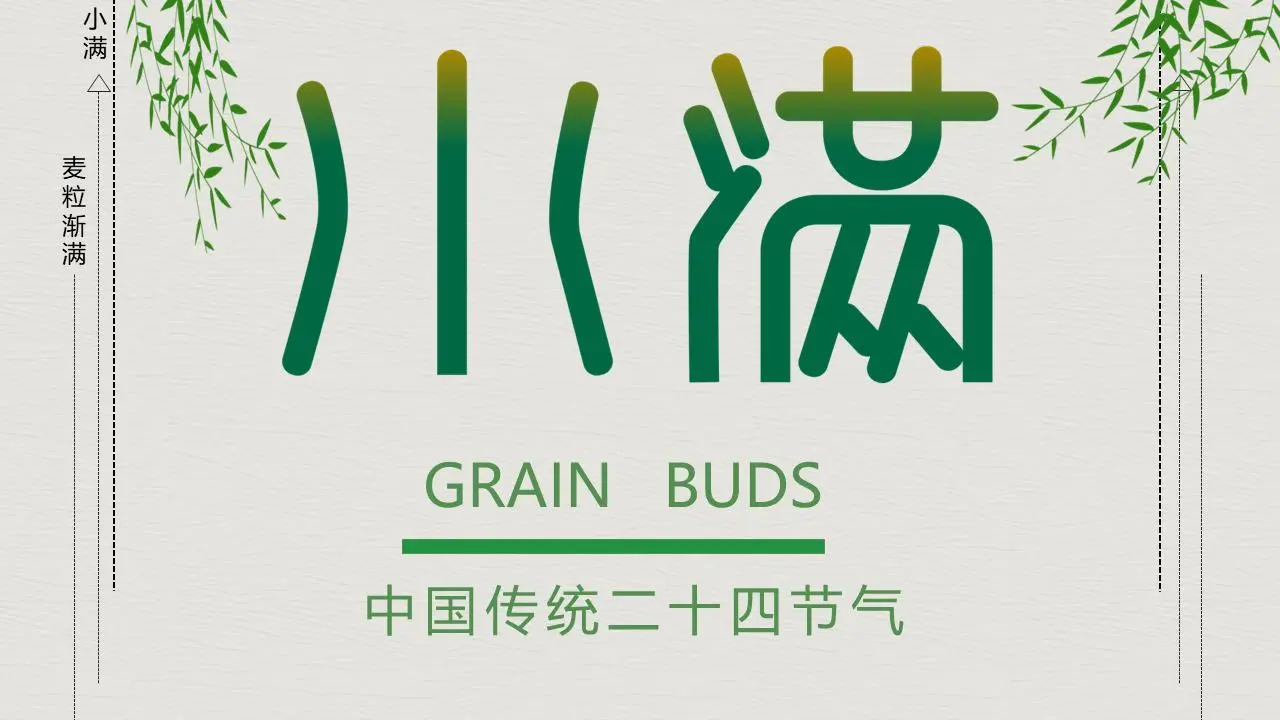 简单的小满节介绍PPT模板