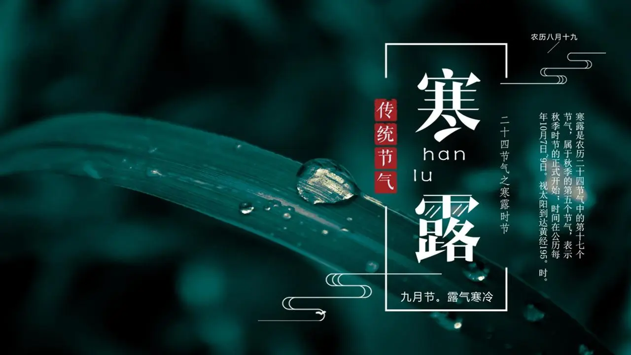 寒露节介绍PPT模板，以绿叶和露水为背景