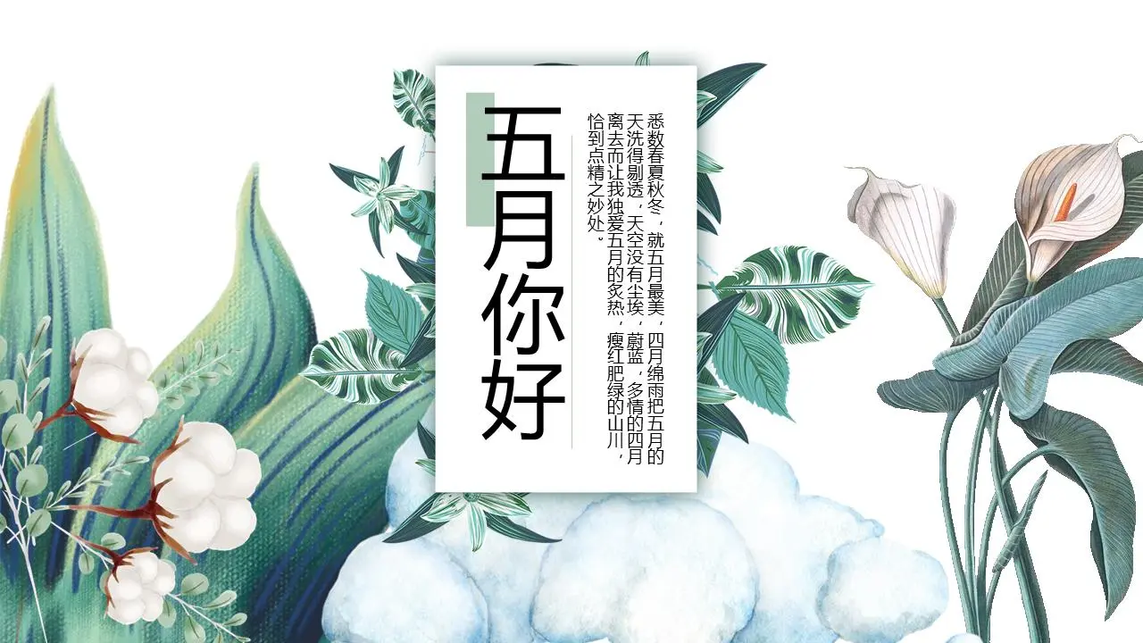 艺术化的手绘棉百合背景 五月你好PPT模板