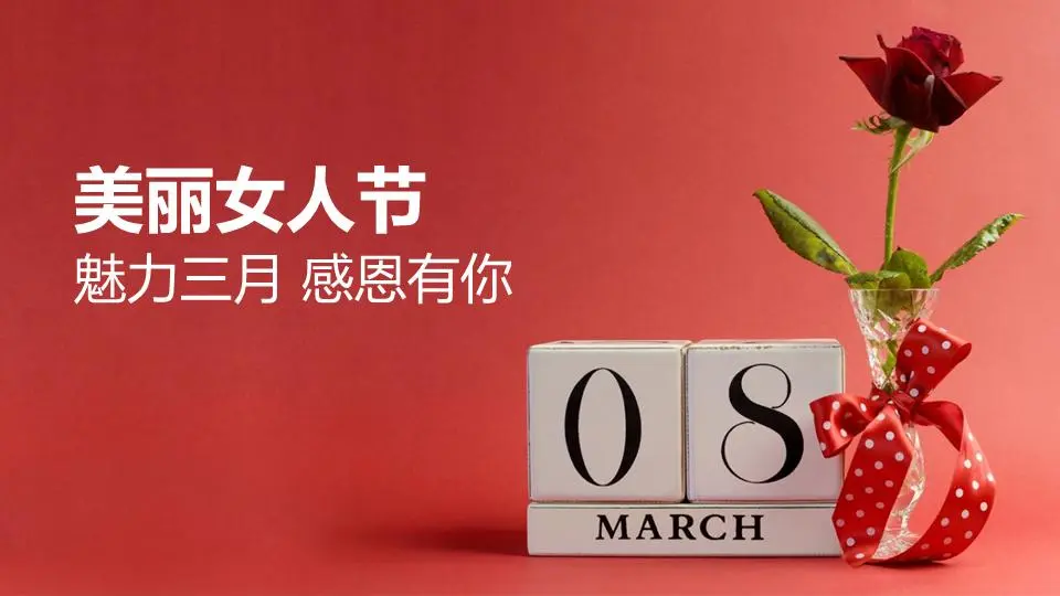 新鲜的玫瑰背景三八妇女节PPT模板