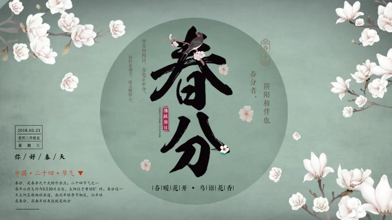 以玉蘭花為背景的優雅的春分演示PPT模板