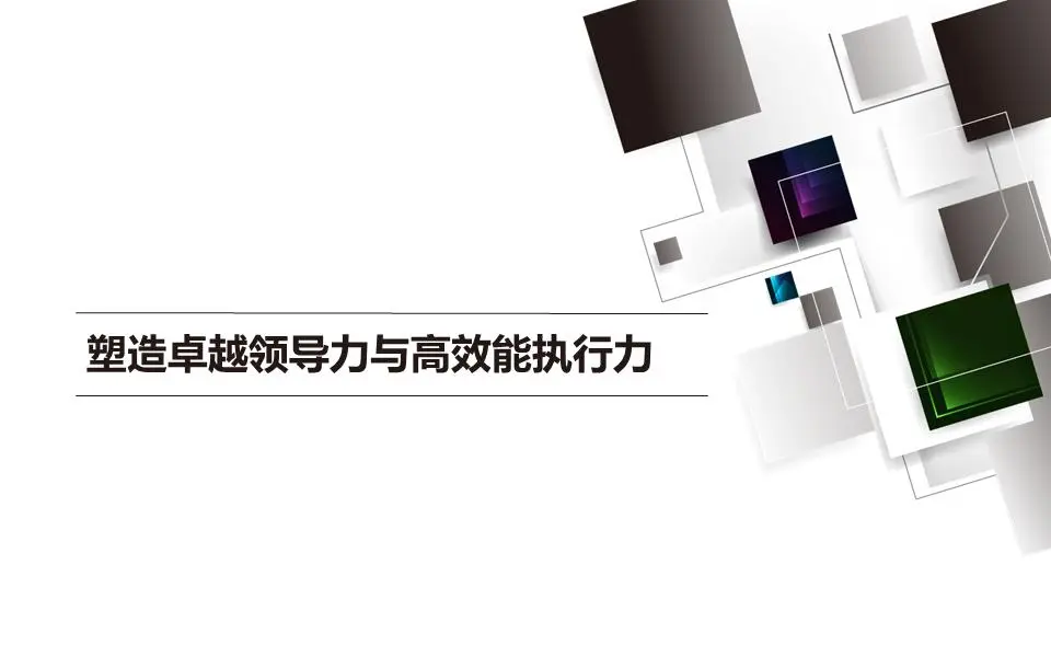 塑造卓越領導力和高績效執行力PPT