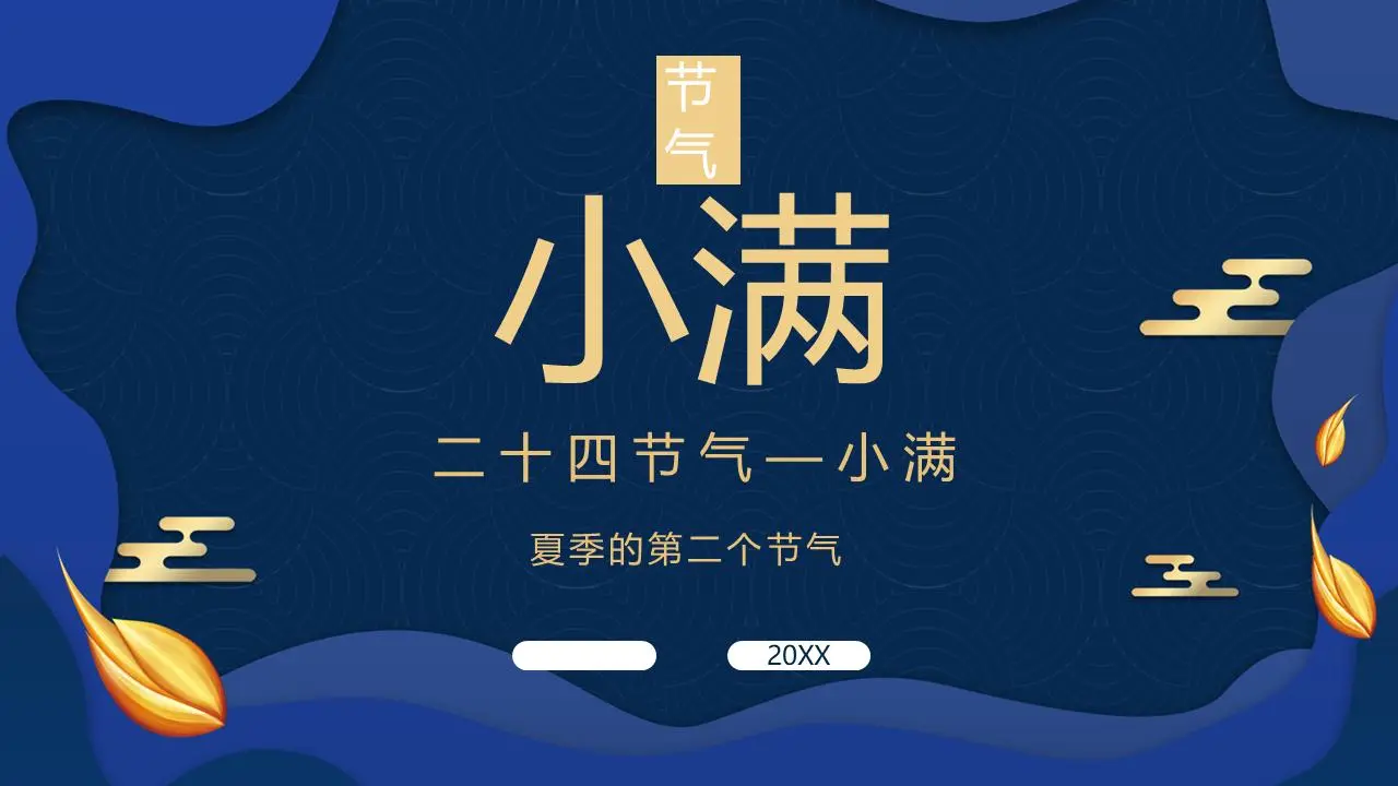 蓝色优雅的小满节气介绍PPT模板