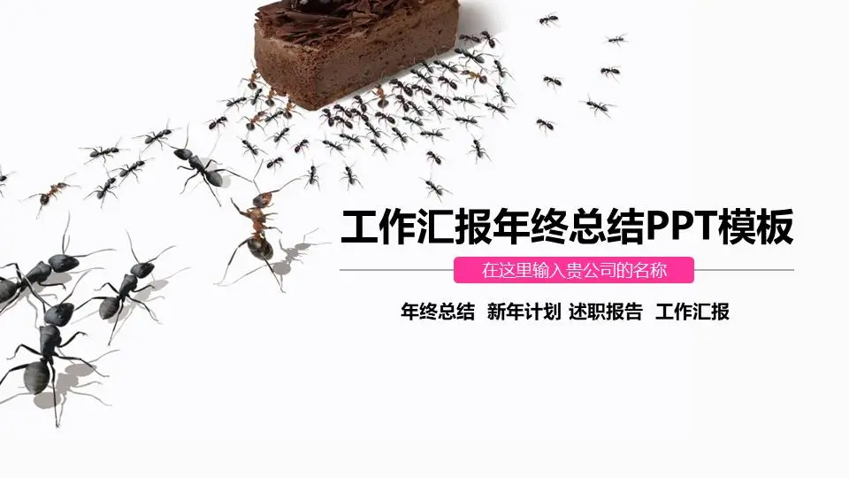 蚂蚁团队合作背景工作汇报PPT模板
