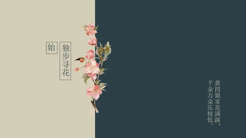 经典的PPT模板，有美丽的花朵装饰
