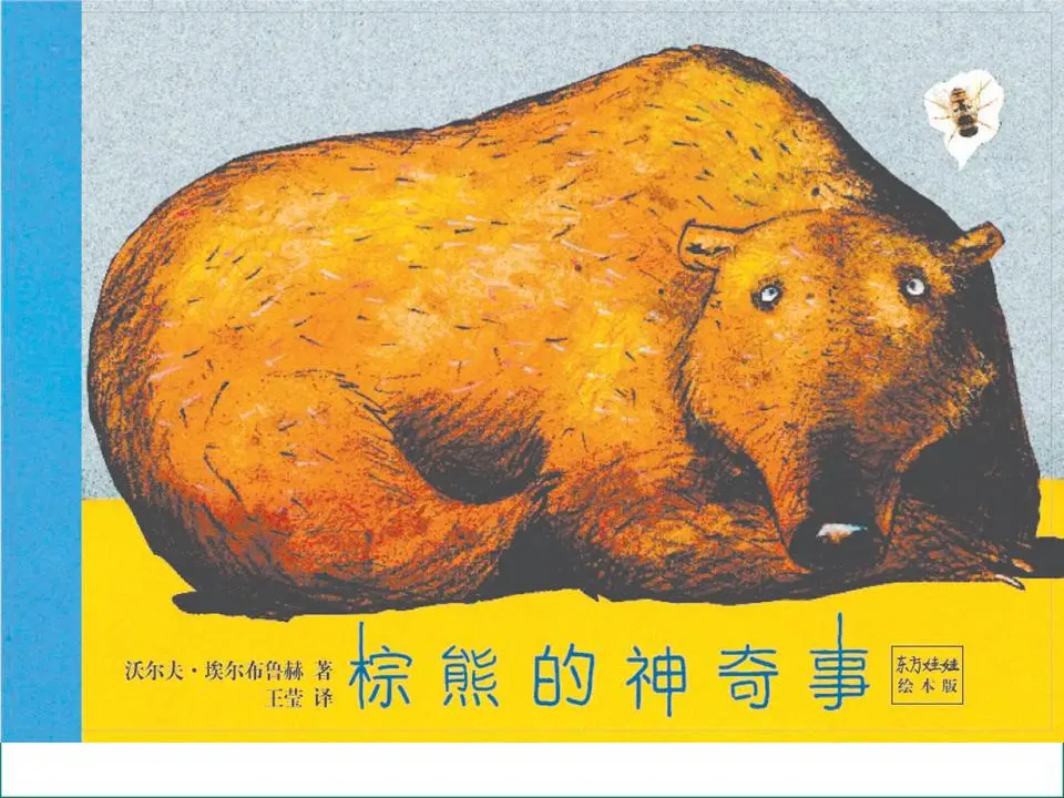 《棕熊的神奇之处》绘本故事PPT