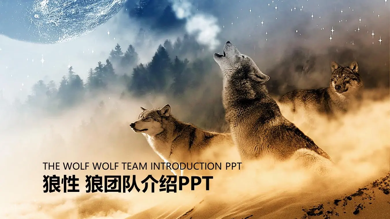 狼性团队文化PPT模板与狼群背景