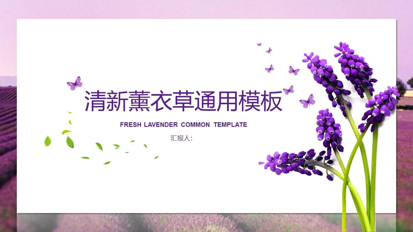 清新的薰衣草背景卡片式PPT模板