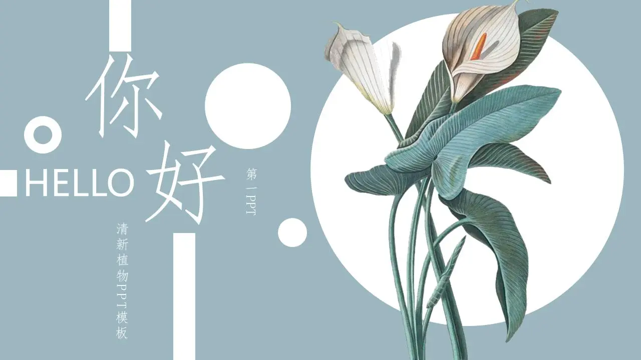 精致新鲜的白色棕榈植物背景你好主题PPT模板