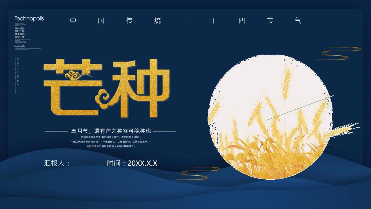 蓝色优雅的芒果种子节介绍PPT模板