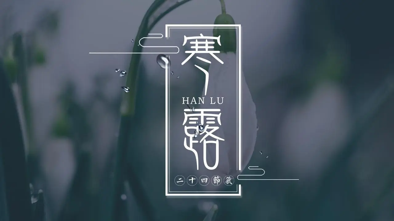 简约雅致寒露节气介绍PPT模板