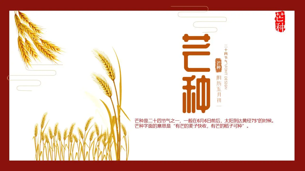 芒果节介绍PPT模板与金色麦穗的背景