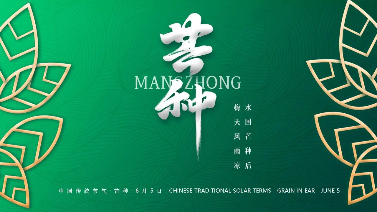 绿色美丽的新中国芒种节PPT模板