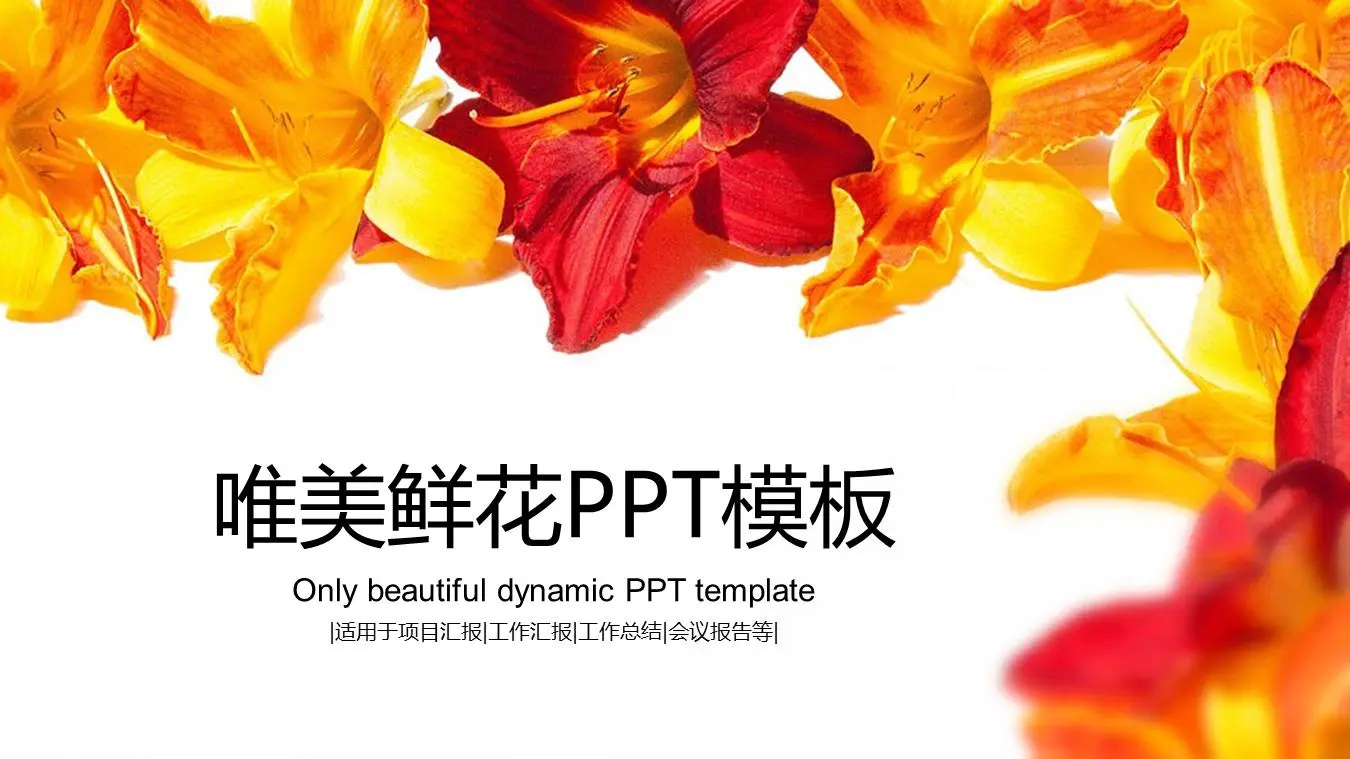 充满活力的花卉背景美学PPT模板