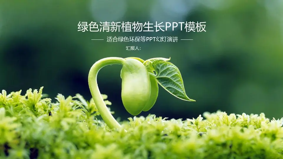 绿色嫩芽幼苗植物背景的环境保护PPT模板